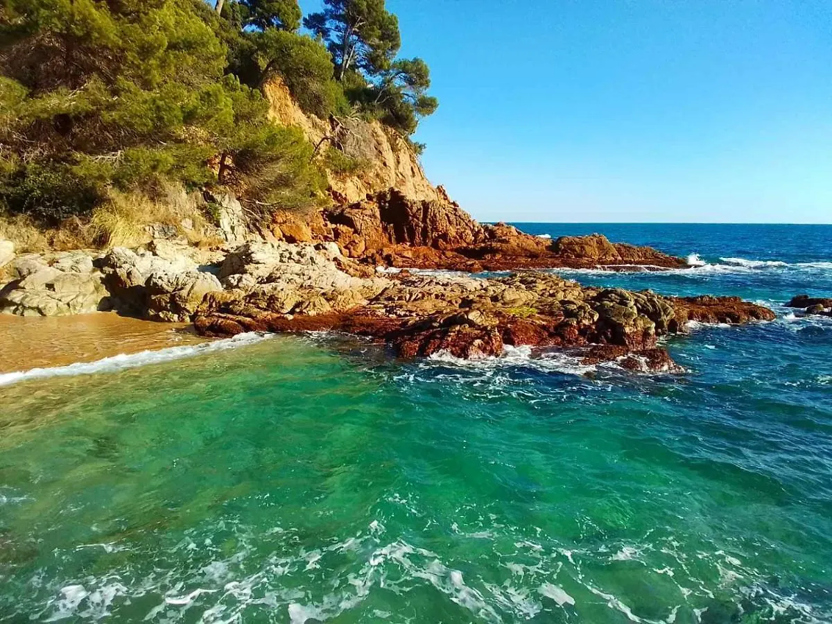 Villa Max Lloret de Mar 0*,  Spain